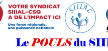 Le POULS du SIIIAL – Volume 8 – Numéro 1 – 19 janvier 2016